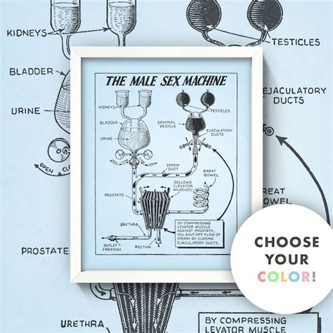 Male Sex Machine Print Vintage Male Genitalia Diagram 3 Etsy