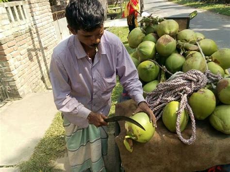 Coconut Seller On Road Incredible India Trinidad And Tobago India