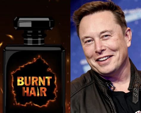 Elon Musk Makes 3 Million From Fragrance In 8 Days