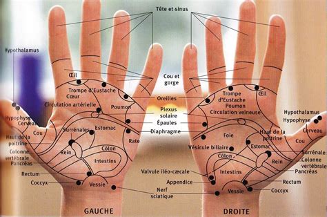 Alternative Therapies Alternative Health Tai Chi Foot Pressure