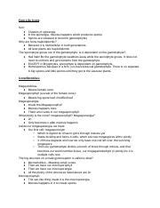 Bio 1B Lab Practical Docx Fern Life Cycle Sori Clusters Of