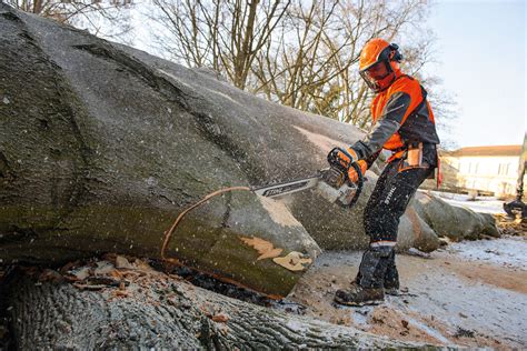 The MS 661 C M High Performance Chainsaw For Professionals STIHL