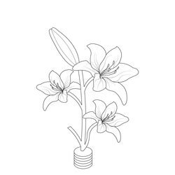 Lily outline flower Royalty Free Vector Image - VectorStock