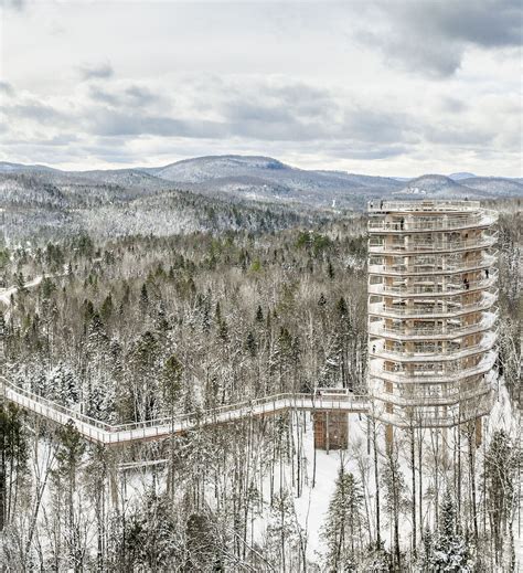 Sentier Des Cimes Laurentides Marcher Au Dessus Des Arbres