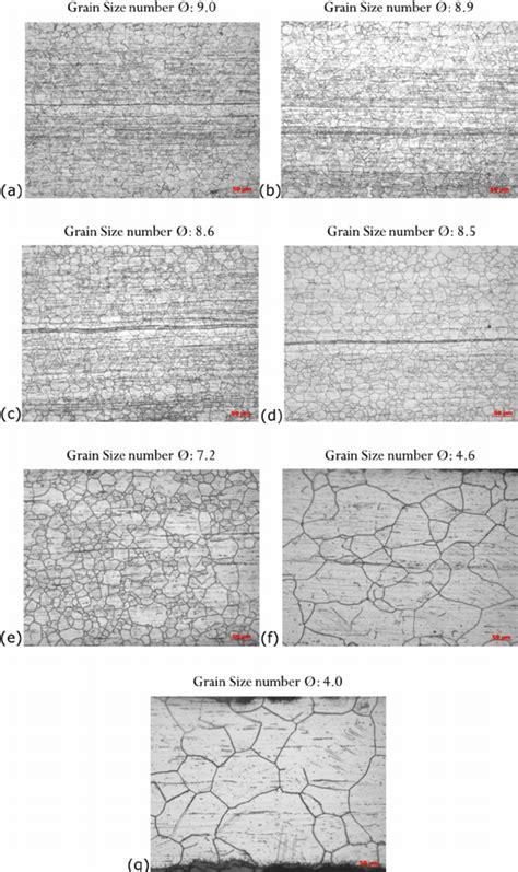 Microstructure Of Cast Stainless Steels As A Functions Off