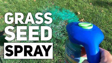 How To Make Spray Grass Seed Diy Hart