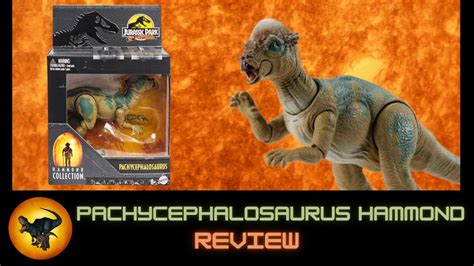 Pachycephalosaurus Hammond Collection Review Youtube