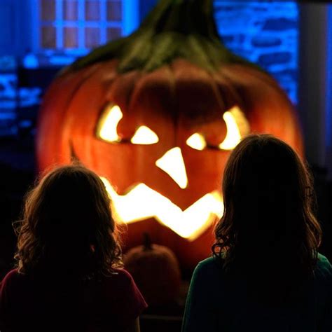 Introducir Imagen Calabazas De La Pelicula De Cenicienta Viaterra Mx