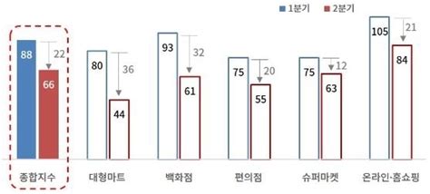 유통업 경기전망 조사 이래 역대 최악온라인쇼핑도 암울