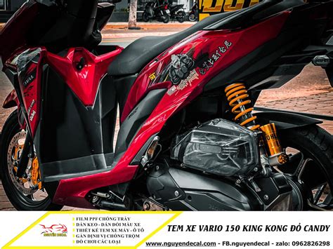 Chọn Mẫu Tem Xe Phù Hợp Cho Vario 150 Và Top 10 Mẫu Tem Xe Vario 150