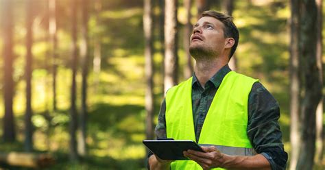 The Guide To Forest Workers Safety