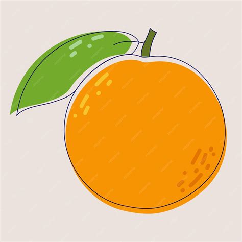 Premium Vector Fresh Orange Fruit Isolated On White Background