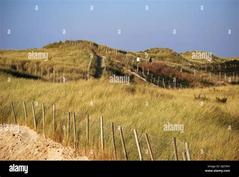 Conservation Area Of Protected Sand Dunes Le Touquet Paris Plage Le