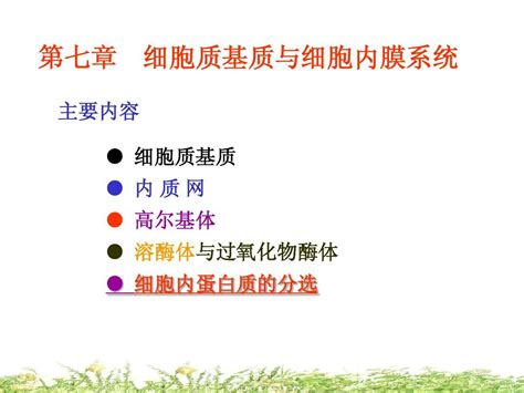 细胞生物学 细胞质基质与 细胞内膜系统word文档在线阅读与下载无忧文档