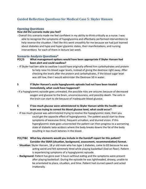 Hansen Guided Reflection Questions