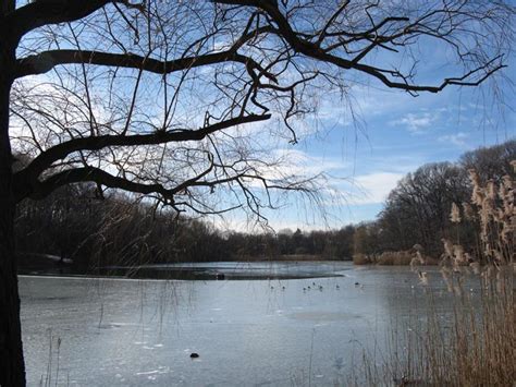 Oakland Lake Alley Pond Park Queens