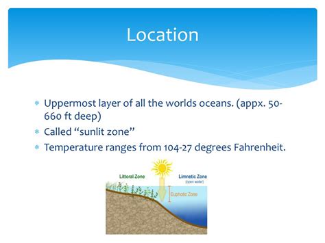 PPT Aquatic Biome The Euphotic Zone PowerPoint Presentation Free