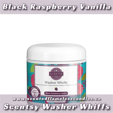 Black Raspberry Vanilla Scentsy Fresh Frabric Spray Tanya Charette