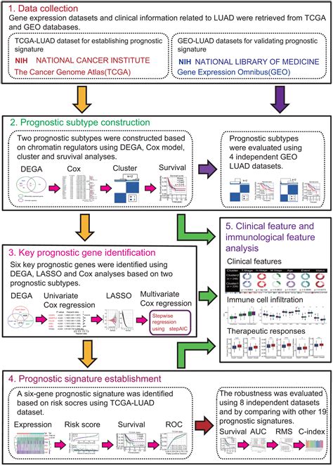 A Robust Six Gene Prognostic Signature Based On Two Prognostic Subtypes