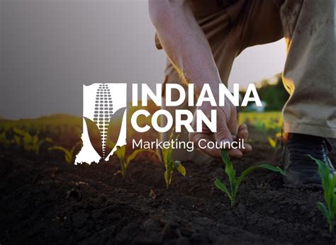 Indiana Corn And Soy Serving Indiana Soybean Farmers