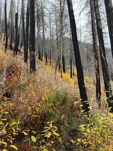 Best Lake Trails In Lake Chelan Sawtooth Wilderness AllTrails