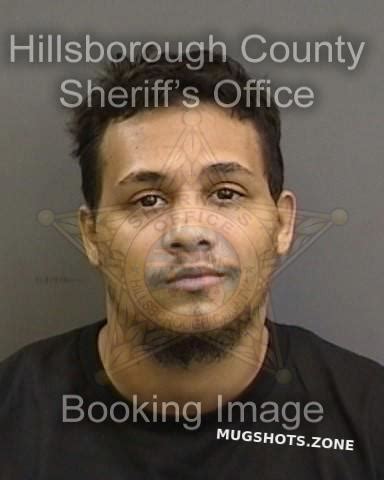 TORRE DEL FINO FRANCIS 08 11 2022 Hillsborough County Mugshots Zone