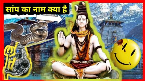 महादेव के गले में जो सांप लिपटा रहता है उसका क्या नाम है 😱😱 Amazing Facts Youtube