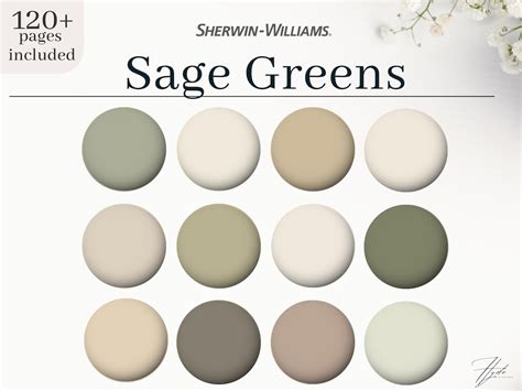 Sage Green Sherwin Williams Color Palette House Paint Palette Etsy