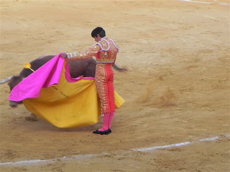 TAURO CAMPO DE GIBRALTAR FERIA DE LA VIRGEN DEL MAR ALMERIA 4ª DE ABONO