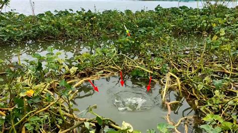 Bikin Gak Bisa Tidur Kalau Mancing Dapat Ikan Besar Berkali Kali Lepas