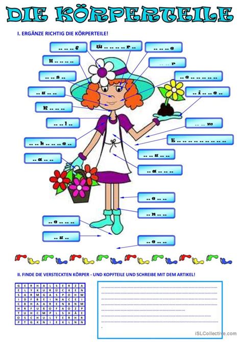 Koerperteile Bildw Rterb Cher Ode Deutsch Daf Arbeitsbl Tter Pdf Doc