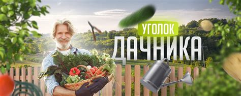 Уголок дачника | Добро пожаловать в нашу группу, посвященную даче и ...