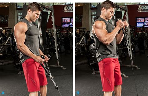 Best Bicep Exercises For Better Arms Workouts