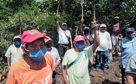 Tensión En Motul Ejidatarios Enfrentan A Maquinaria Haz Ruido