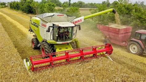 CLAAS LEXION 760 Mietitura Orzo 2019 Barley Harvest YouTube