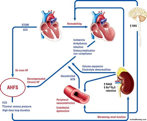 Heart Failure Pptx Muhadharaty