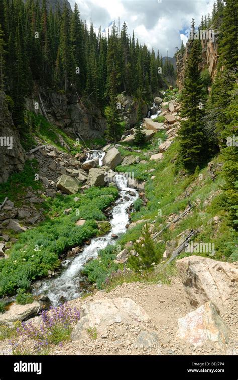 Alpine Stream In Colorado Rocky Mountains Stock Photo Alamy