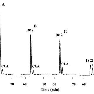 RP HPLC Separation Of A Standard Mixture Of Fatty Acids As 9 Anthryl