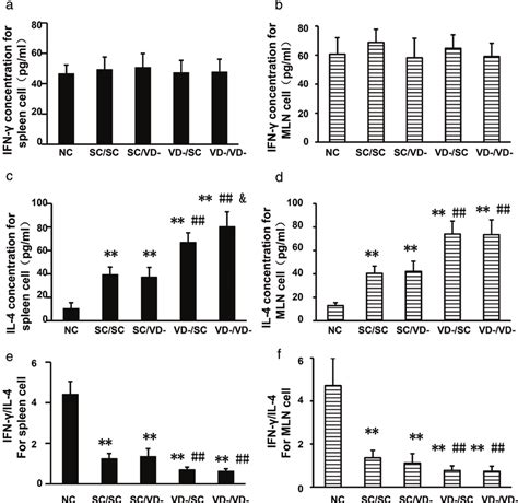 Concentrations Of Ifn γ And Il 4 In The Culture Supernatant Of Spleen Download Scientific