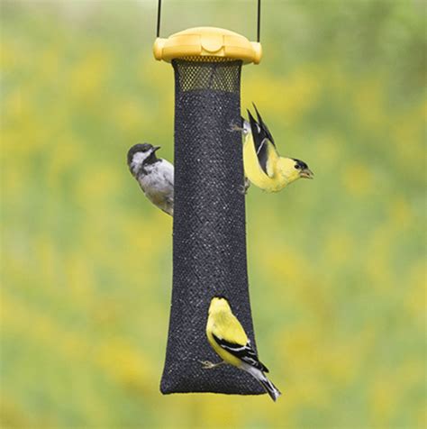 Choose the Best Nyjer Feeders to Attract Finches - Birds and Blooms