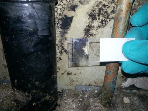 Mold Inspection Greenfield WI