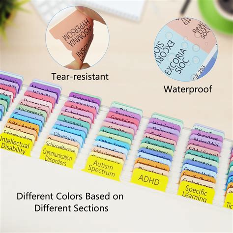 Snapklik Upgraded Index Tabs For DSM 5 TR 2022 Color Coded