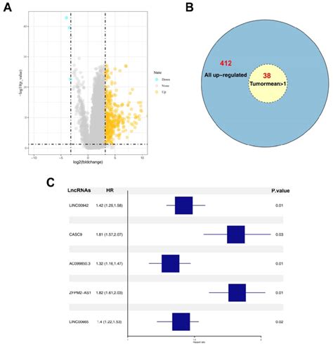 Identification Of AC099850 3 As A Candidate Gene Notes A The Volcano