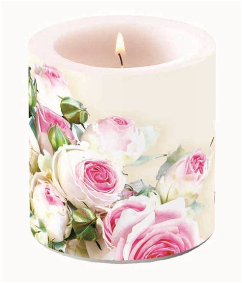Maxima cream - Product - Van Remoortel