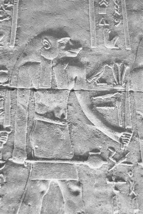 Babi Get To Know The Monkey God Of Ancient Egyptian Mythology