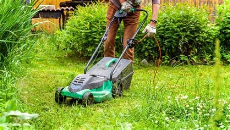 The 10 Best Lawn Mowers For Small Yards In 2022 Artofit