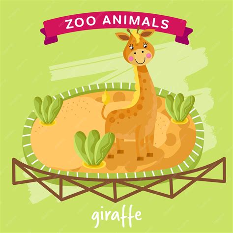 zoo animal giraffe