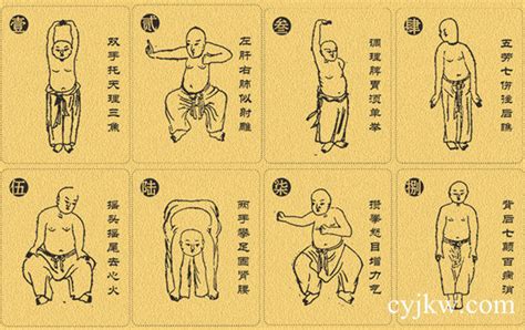 Baduanjin Qigong – Detox Acupuncture