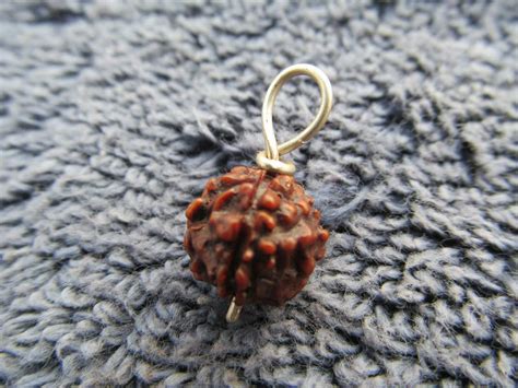 The Millennium Gallery Ek Mukhi Gol Dana Nepali Rudraksha Original