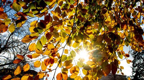 Oktober In Koblenz Gl Nzt Mit Viel Sonne W Rmster Tag Erreichte